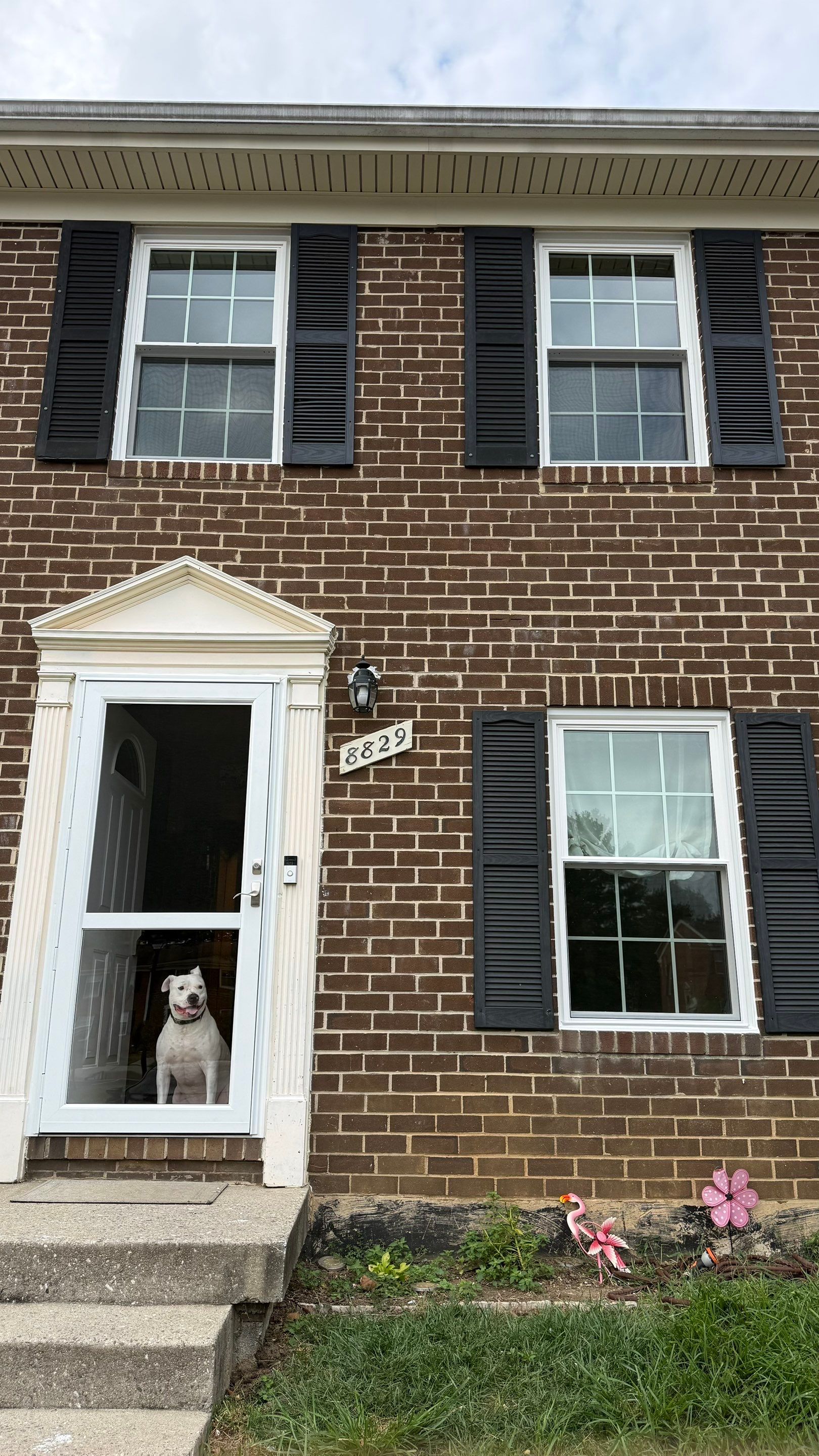 White ProVia Aspect double-hung windows with white flat grids installed on a brick home in Columbia, Maryland.