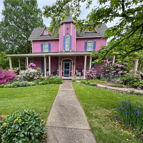 Victorian Rose Case Study